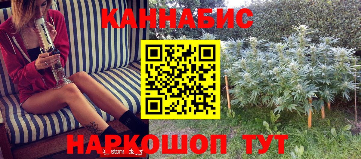 Шишки марихуана Ganja Отрадное